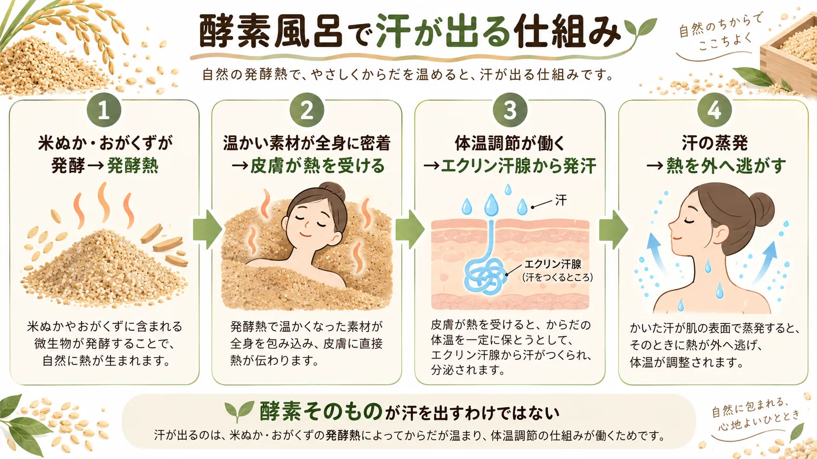 酵素風呂の発酵熱で体が温まり体温調節のために汗が出る仕組み